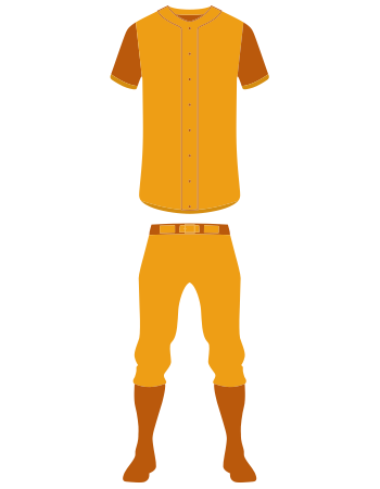 Baseball Uniform