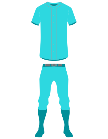 Baseball Uniform