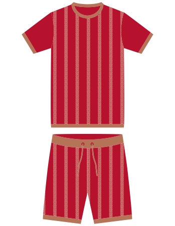 Men Shorts Set