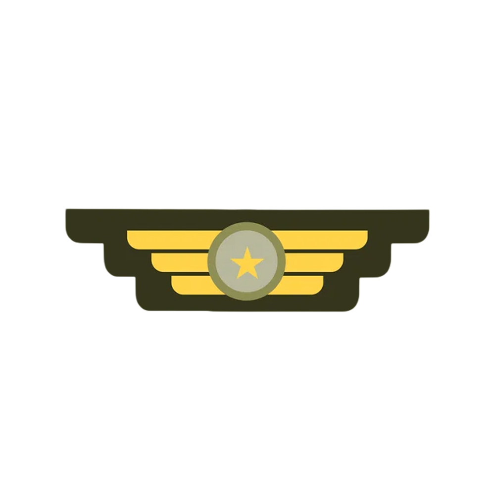 Rank Insignia