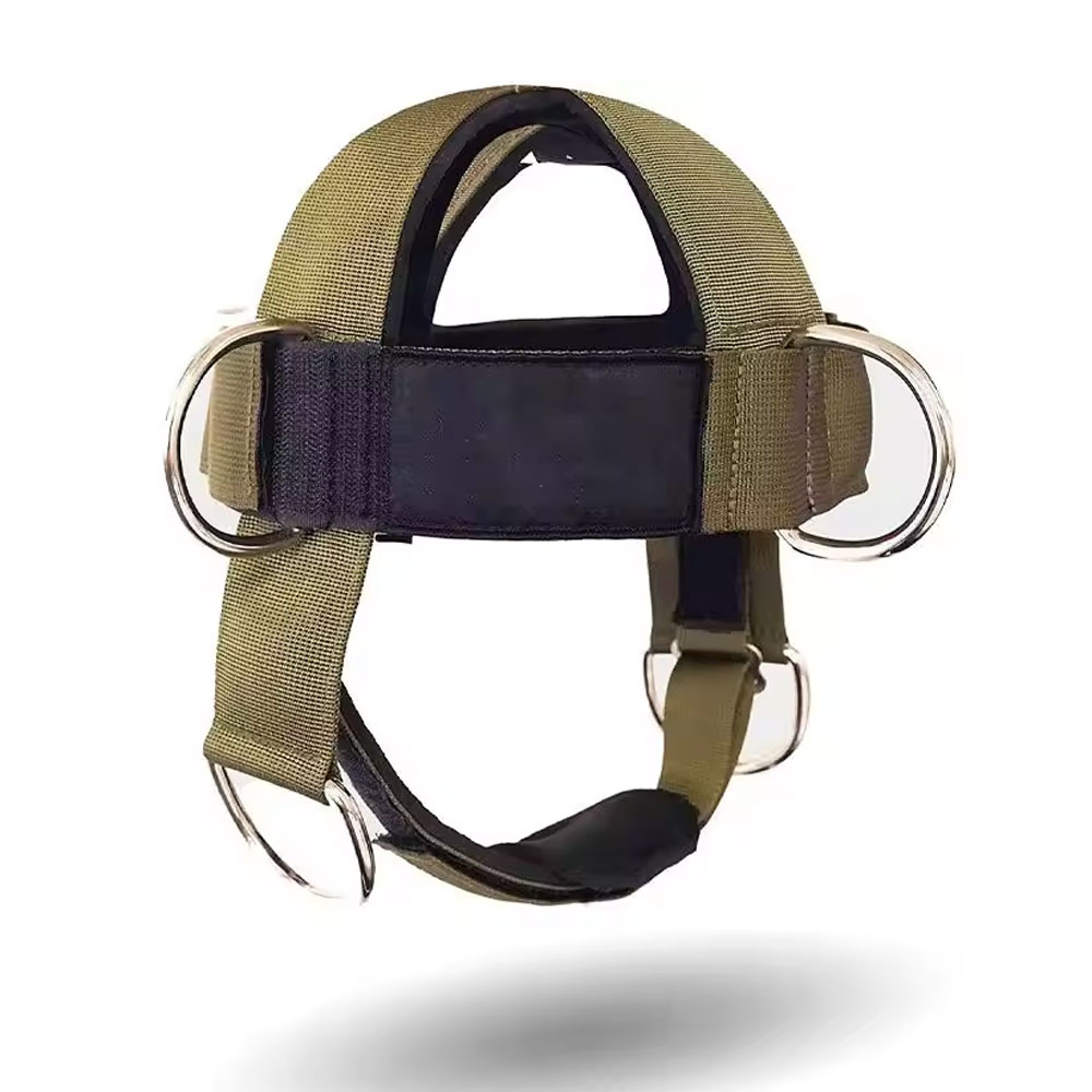 Gym Head Harness