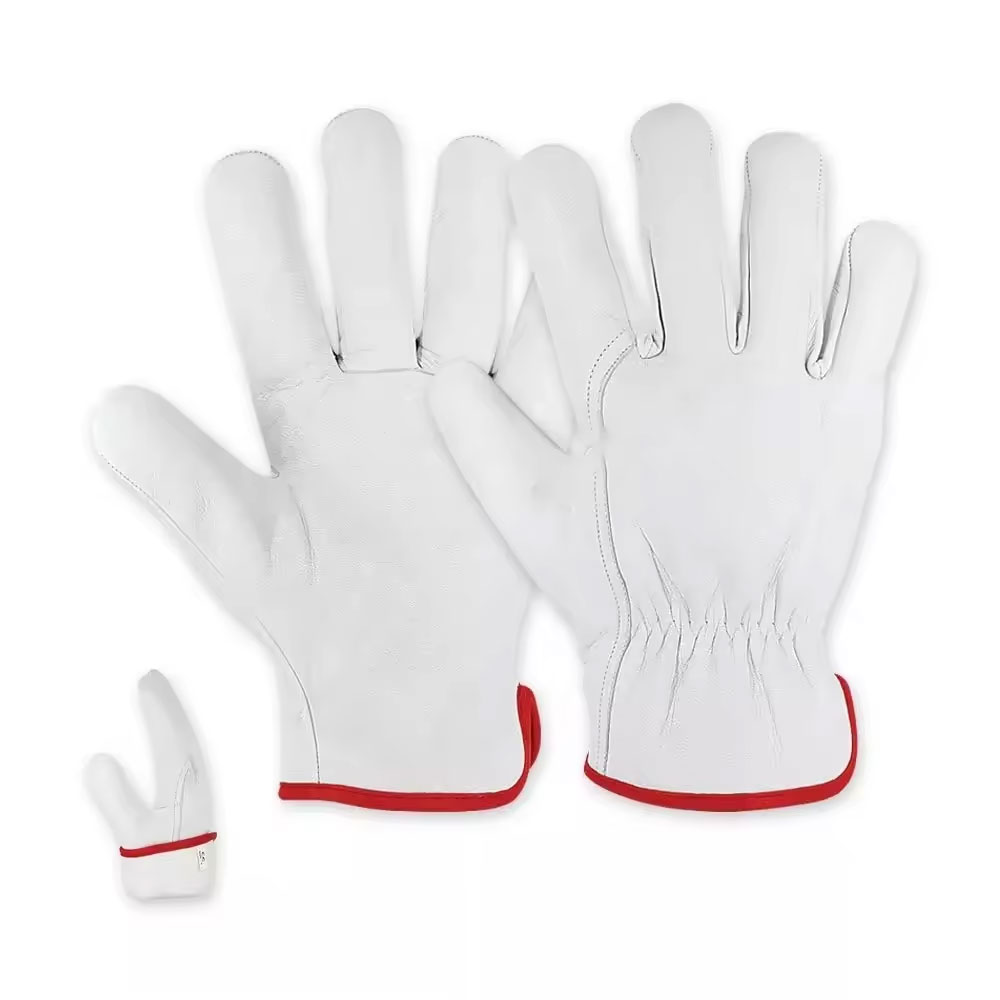 Safety Gloves